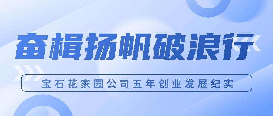 奋楫扬帆破浪行 ——宝石花家园公司五年创业发展纪实